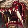 Bloodseeker