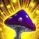 Sunseeker Mushroom
