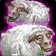 Mass Polymorph