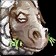 Polymorph