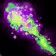 Improved Shadow Bolt